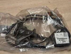 GENUINE Peugeot Citroen DS DOOR HARNESS 9821666880 - Picture 1 of 1