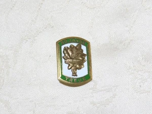 Lapel Pin 60 Years Loyalty Alpine Club! - Picture 1 of 4