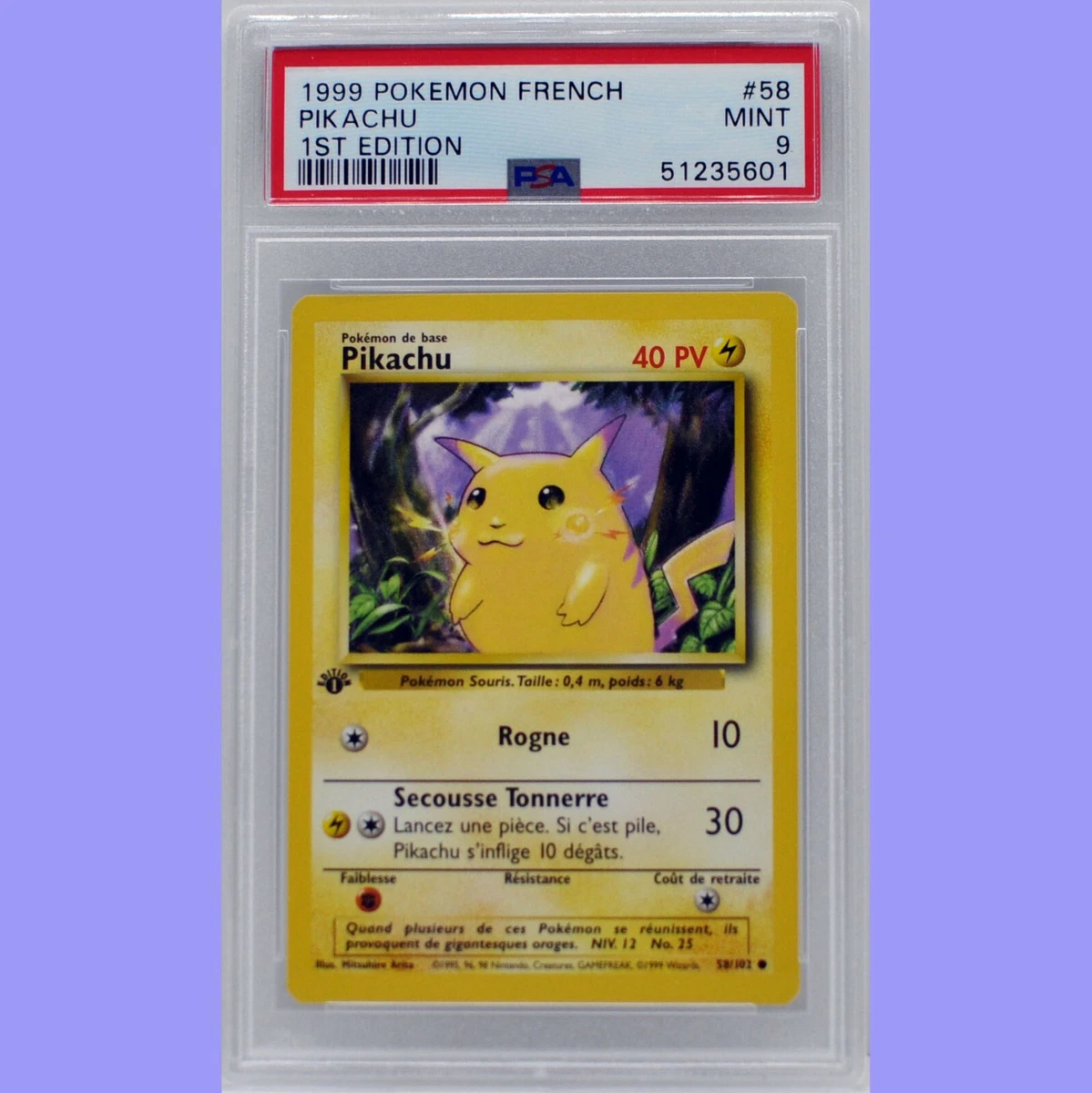 Pokémon Pikachu Pokémon TCG French Individual Collectable Card