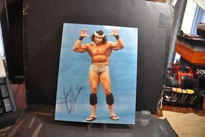jimmy superfly snuka quebec wrestling original promo vintage colour photo iwa ww