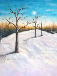 Weihnachten Winter 10'x20' Musslin Foto Kulisse Hintergrund 19-613B - Bild 1 von 1