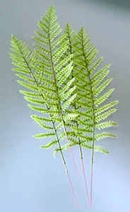 Set/4 Lacey Fern Fronds Faux Greenery Stem Artificial Foliage Floral Arrangement - Picture 1 of 5