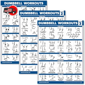 Hantel Training Poster 3er Pack laminierte Übungstabellen 18x24 Home Gym - Bild 1 von 13