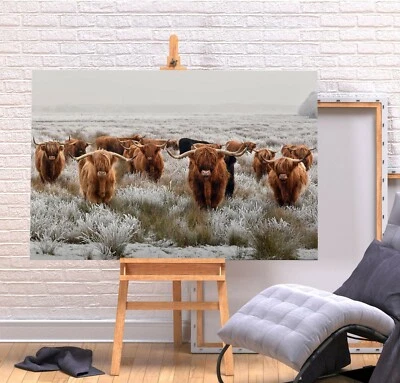 HERD HIGHLAND COWS 1 - DEEP FRAMED CANVAS WALL ART PICTURE PRINT- BROWN GREY - Image 1 of 3