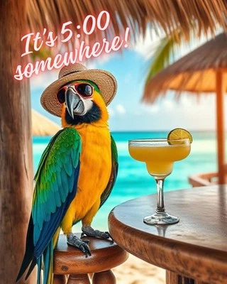 Jimmy Buffett It's 5:00 Somewhere Margaritaville Pegatina Impermeable 8" Pegatina Foto 1 de 2