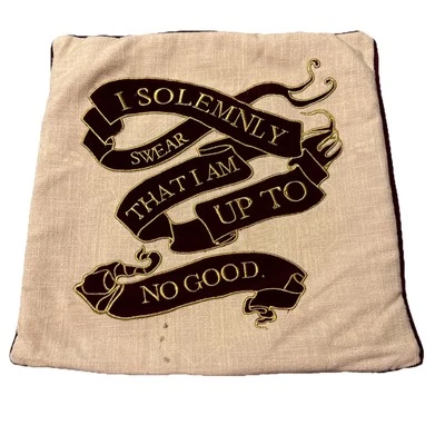 HARRY POTTER I SOLEMNLY SWEAR I AM UP TO NO GOOD GLOW IN THE DARK PILLOW Cover - Image 1 of 4