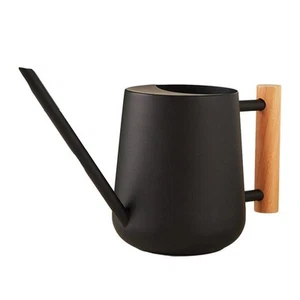 Watering Can Indoor Plants, 30oz/900ml Small Plant Watering Can with Long Spo... - Picture 1 of 7