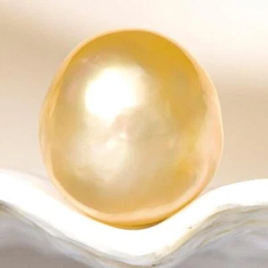 South Sea Pearl Bi-color Baroque 10.00 mm Maluku Indonesia 1.36 g undrilled - Picture 1 of 12