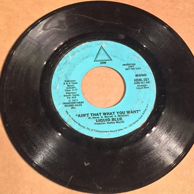Liquid Blue Ain’t That What You Want MONO/STEREO PROMO modern soul funk HEAR Foto 1 de 2