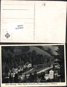 116440,Bad Reinerz Schlesien Villen Idylle - Picture 1 of 1