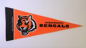Vintage NFL Mini PENNANT / FLAG - CINCINNATI BENGALS by Rico/Tag Express 9" Lg - Picture 1 of 2
