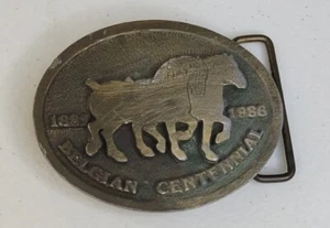 Belgian Centennial 1887 - 1986 Gürtelschnalle CD Hit Pferde Vintage  - Bild 1 von 14