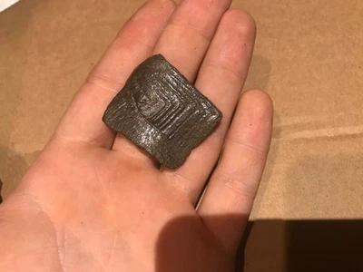 FOSSIL RIVER TURTLE FOSSIL SHELL SCUTE ICE AGE REPTILE JAW SKULL BONE CARAPACE - Image 1 of 2