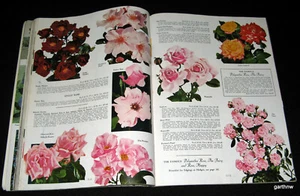 PIANTE DURE 1965 CATALOGO I GIARDINI LUNGO LA STRADA MENTORE OHIO * ROSE ARBUSTI BULBI - Foto 1 di 5