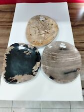 3 Pcs of small petrified wood plate size around 15x20cm, Total weigh 2586gr