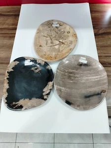 3 Pcs of small petrified wood plate size around 15x20cm, Total weigh 2586gr - Picture 1 of 8