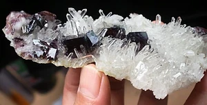 101 g Hermoso Borde Púrpura Cubo Fluorita Cuarzo Cristal Mineral Espécimen China1 - Imagen 1 de 12