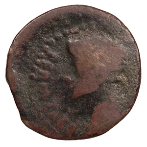 MONEDA ESPAÑA CELTÍBERA: AUGUSTUS IULIA TRADUCTA PROVINCIAL ROMANA (#6931) - Imagen 1 de 2