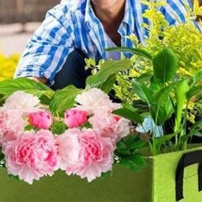 4 Pcs Rectangular Grow Bags with Breathable Design for Healthier Roots - Image 1 of 4