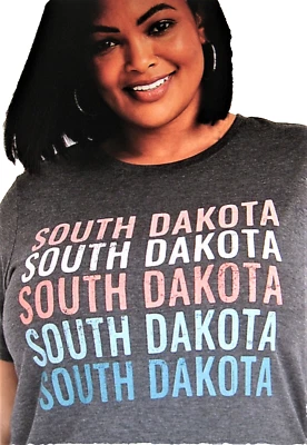 Maurices~New With Tags~Charcoal Gray State SD Graphic Tee~Plus Size 1-1X - Image 1 of 4