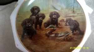 dog plates by franklin mint size 8 inch limited edition - Picture 1 of 5