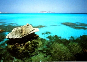 CARTOLINA MARE CALA ROSSA FAVIGNANA ISOLE EGADI SICILIA SICILY POSTCARD - Foto 1 di 2