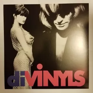 Divinyls - Divinyls 12" x 12" US promo Poster 2 Sided Excellent Condition - Imagen 1 de 2