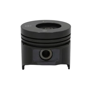 KOLBEN (0.50-90.50mm): RUGGERINI/RD 210/RD 211/RD 218 - Picture 1 of 2