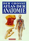Der Große Atlas Der Anatomie De Lauen, Joachim | Livre | État Bon