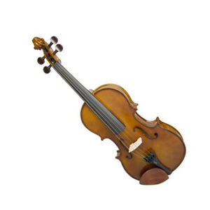 Viola Outfit 14" Stentor Student I Lightweight Case Maple back ribs and neck