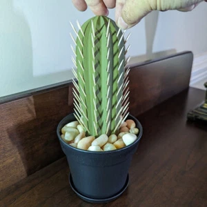 Farmhouse Cactus Toothpick Holder Dispenser - Cute Kitchen Gift NJ - Picture 1 of 14