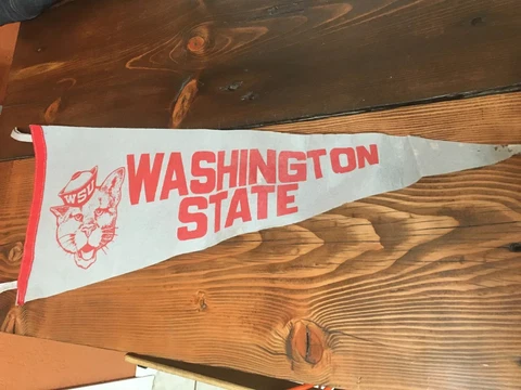 Vintage Washington State University Cougars NCAA Pennant  - Classic- Gray / Red Cover