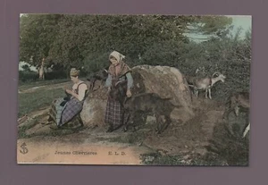 Young Chevrières (C9609) - Picture 1 of 1