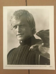 Rutger Hauer 1985 Ladyhawke  , original vintage press headshot photo . - Picture 1 of 1