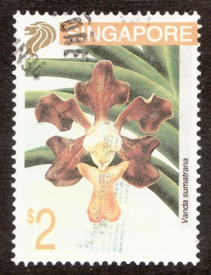1995 Singapore #665 - $2 Vanda sumatrana Iris flower - Used postage stamp Foto 1 de 1