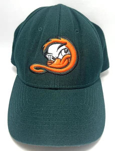 Long Island Ducks Mütze Kappe nicht verstellbar Herren 7 3/8 grün MILB Baseball Minor League - Bild 1 von 12