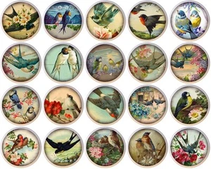 Set of 20 Vintage Birds By ETS CERAMIC Drawer Pulls Dresser Drawer Cabinet Knobs - Picture 1 of 1