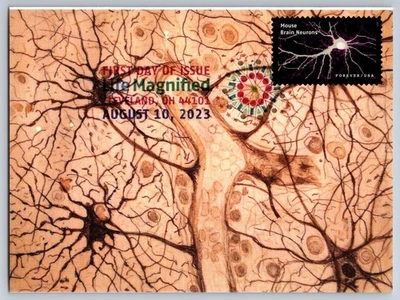 #5802j Life Magnified Mouse Brain Neuron FDC Maxi Card w/DCP Cancel - Image 1 of 2