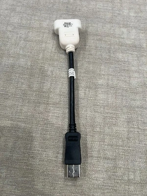 BizLink DP/N 023NVR DisplayPort to DVI Adapter Cable - Image 1 of 4