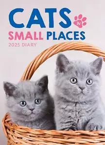 Cats in Small Places 2025 Diary - Picture 1 of 4