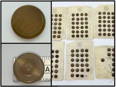 LOT of 128 Vintage Antique 14mm 9/16" Vegetable Ivory Tan Sewing Buttons on Card - Image 1 of 4