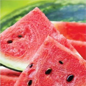 Summer Seeds Watermelon Cookout BBQ Picnic Theme Party Paper Luncheon Napkins - Picture 1 of 1
