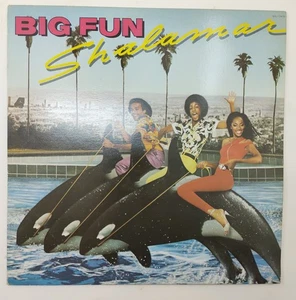 Shalamar - Big Fun (1979) LP de vinilo Disco Funk clásico Soul Dance Groove - Imagen 1 de 8