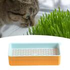 Cats Grass Hydroponic Box Snack Tray for Garden Greenhouse Microgreens