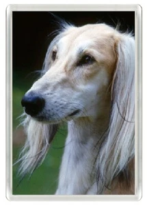 SALUKI LOVELY HEAD DOG PRINT NOVELTY ACRYLIC FRIDGE MAGNET GREAT GIFT - Picture 1 of 1