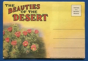 Beauties of the Desert New Mexico Arizona Postcard Folder - Picture 1 of 1