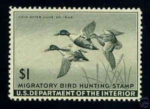 RW12 (pato de $1) - centro de gemas - ¡MNH!! - Imagen 1 de 1