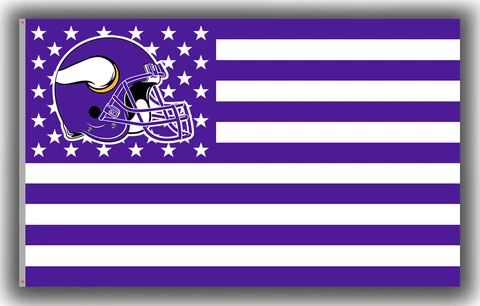 Minnesota Vikings Football Star&Strip Flag 90x150cm 3x5ft Memorable Best Banner Cover