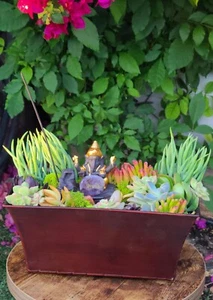 Mini Zen Garden with Natural Succulents + crystals for the Interior of the Home - Picture 1 of 1