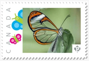 cp. CLEAR WINGS BUTTERFLY = Picture Postage stamp MNH Canada 2019 p19-01s25 - Picture 1 of 2
